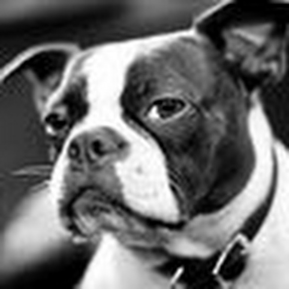 Meet your Posher, Emily - Picture 1 of 1